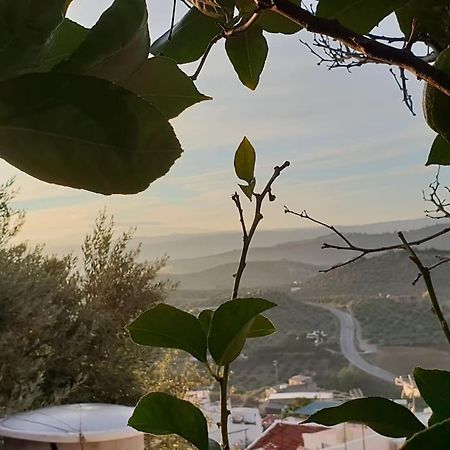 Mirador Del Olivar オルベラ エクステリア 写真