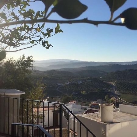 Mirador Del Olivar オルベラ エクステリア 写真