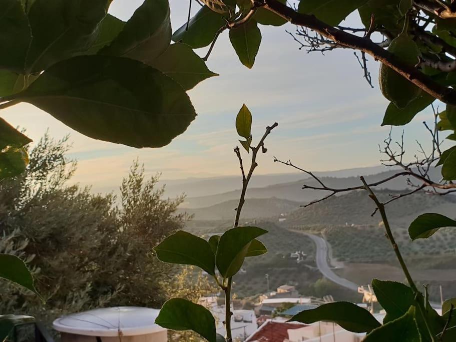 Mirador Del Olivar オルベラ エクステリア 写真