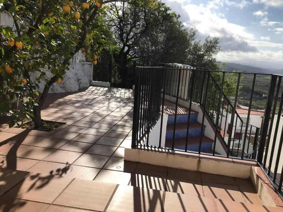 Mirador Del Olivar オルベラ エクステリア 写真